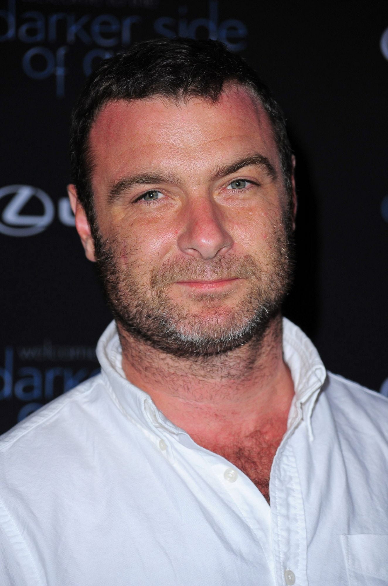 Liev Schreiber At A Public Appearance For The Darker Side Of Green Debate Series Canvas Art - (16 x 20)