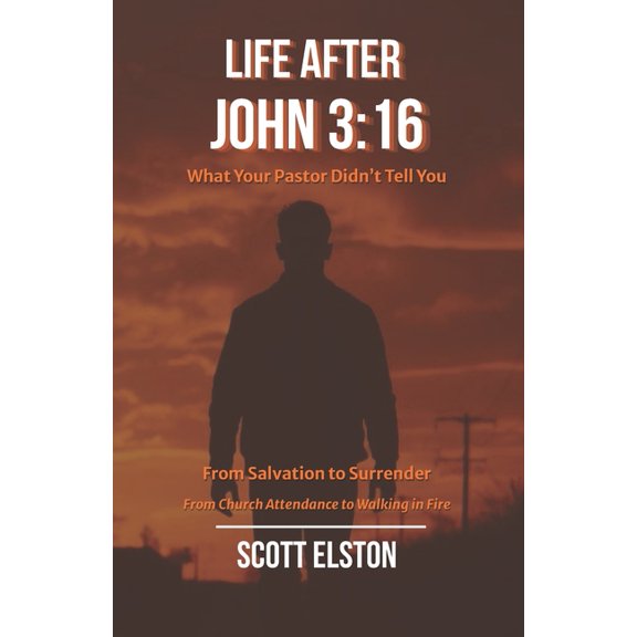 Life After John 3: 16: What Your Pastor Didn't Tell You, (Paperback)