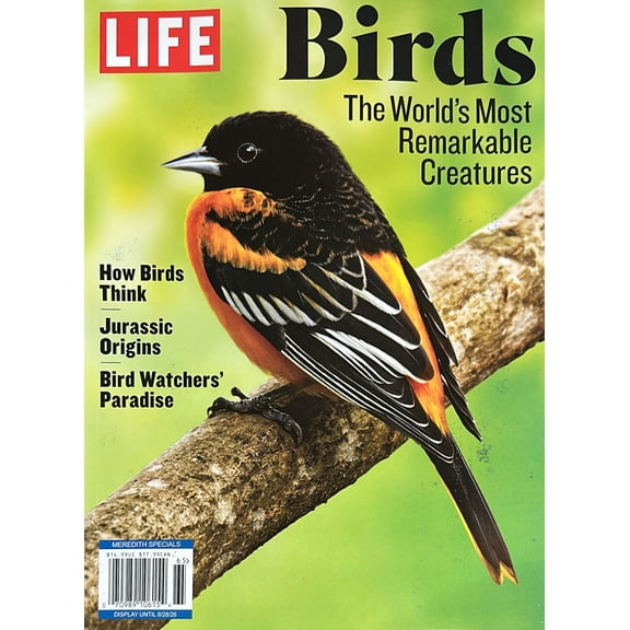 Life Birds Magazine Issue 65