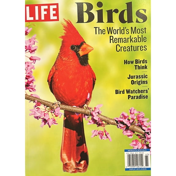 Life Birds Magazine Issue 65