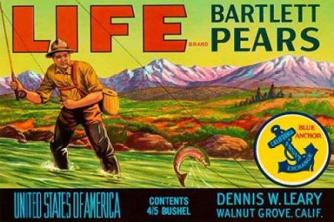Life Brand Bartlett Pears Canvas Art - Retrolabel (24 x 36)