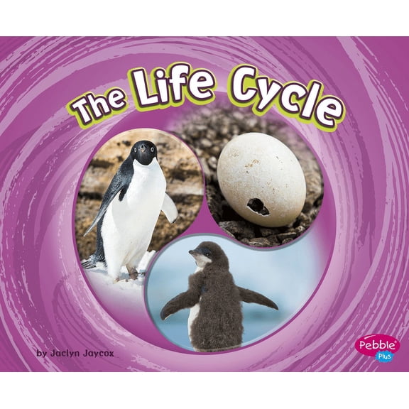 Life Cycle