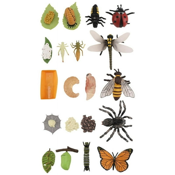 Life Cycle Figurines of Butterfly Spider Bee Ladybug Dragonfly, Plastic Insect Bug k7066
