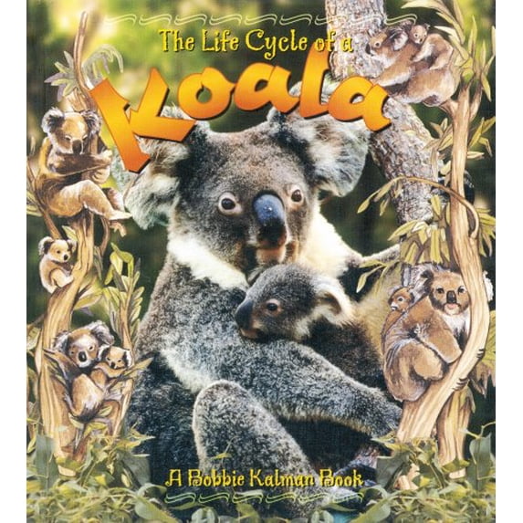 Pre-Owned Koala (Hardcover) 0778706559 9780778706557
