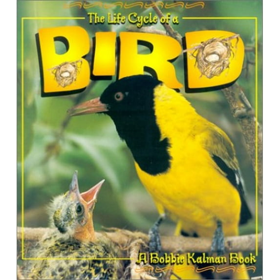 Pre-Owned The Life Cycle of a Bird (Paperback) 0778706842 9780778706847