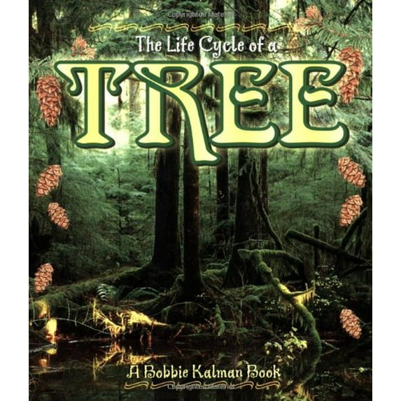 Pre-Owned Tree (Paperback) 0778706893 9780778706892