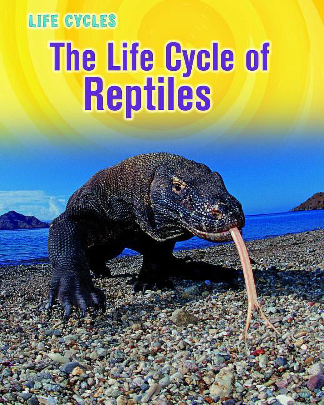 Life Cycle of Reptiles - Walmart.com