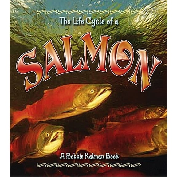 Pre-Owned The Life Cycle of a Salmon, 9780778707059, 0778707059, Paperback, Illustrated edition