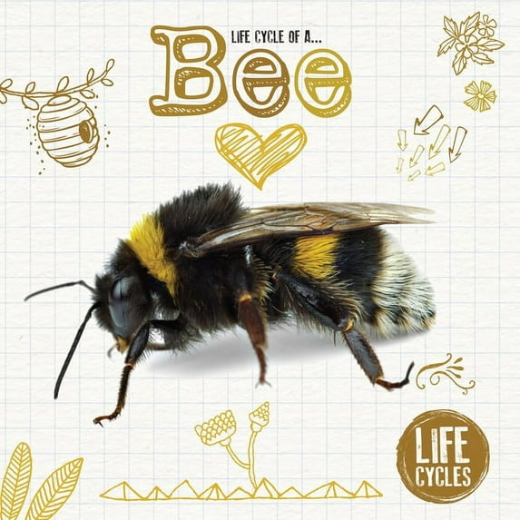 Life Cycles: Life Cycle of a Bee (Paperback)