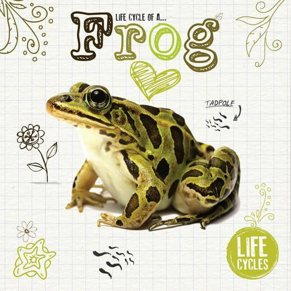 Life Cycles: Life Cycle of a Frog (Paperback)