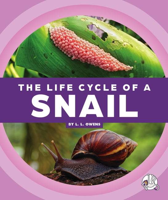 Life Cycles The Life Cycle of a Snail (Hardcover)