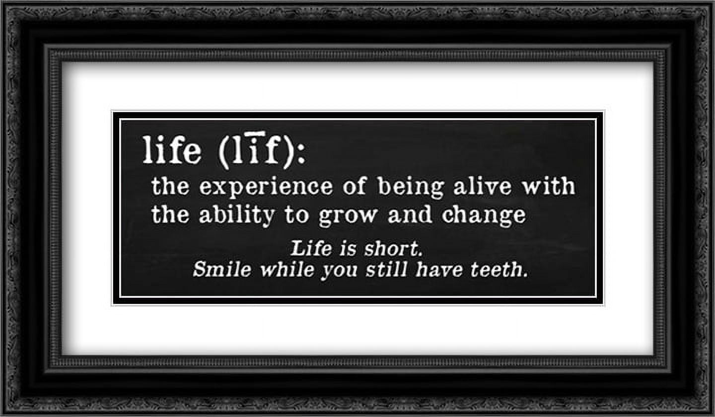 Life Definition 2x Matted 24x14 Black Ornate Framed Art Print by Quach