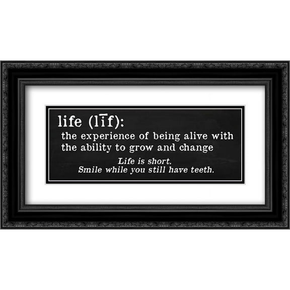 Life Definition 2x Matted 24x14 Black Ornate Framed Art Print by Quach, Anna