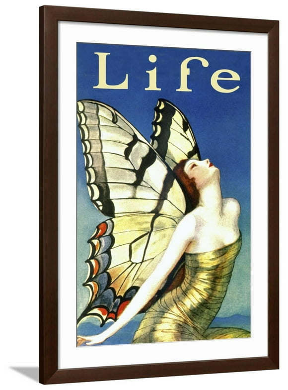 Life Framed Giclee Print by Unknown, 24" x 36", Sold by Art.com