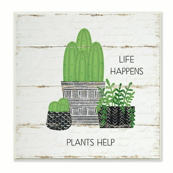 Life Happens Cacti Succulents Wood Textured Design 12 in x 12 in Framed Painting Art Prints, by Stupell Home Décor