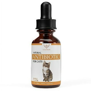 Cat uti treatment antibiotic hotsell