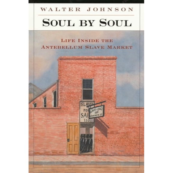 Life Inside the Antebellum Slave Market: Soul by Soul: Life Inside the Antebellum Slave Market (Paperback)