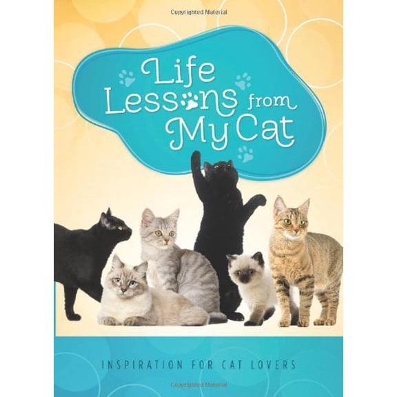 Pre-Owned Life Lessons from My Cat : Inspiration for Cat Lovers (Paperback)