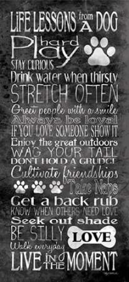 Life Lessons from a Dog Canvas Art - Kathy Middlebrook (10 x 20)