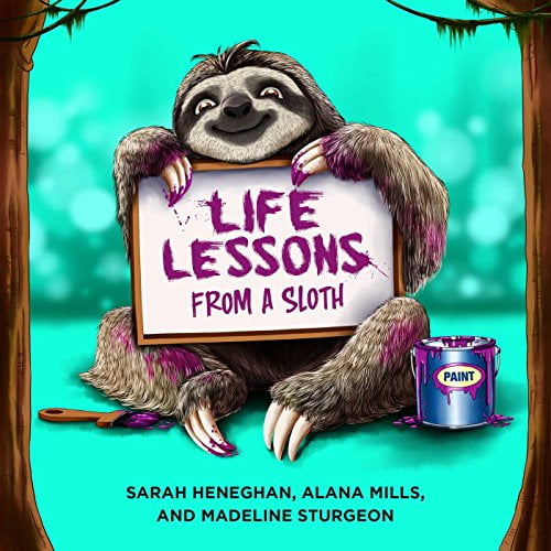 Pre-Owned Life Lessons from a Sloth (Hardcover) 1682617238 9781682617236