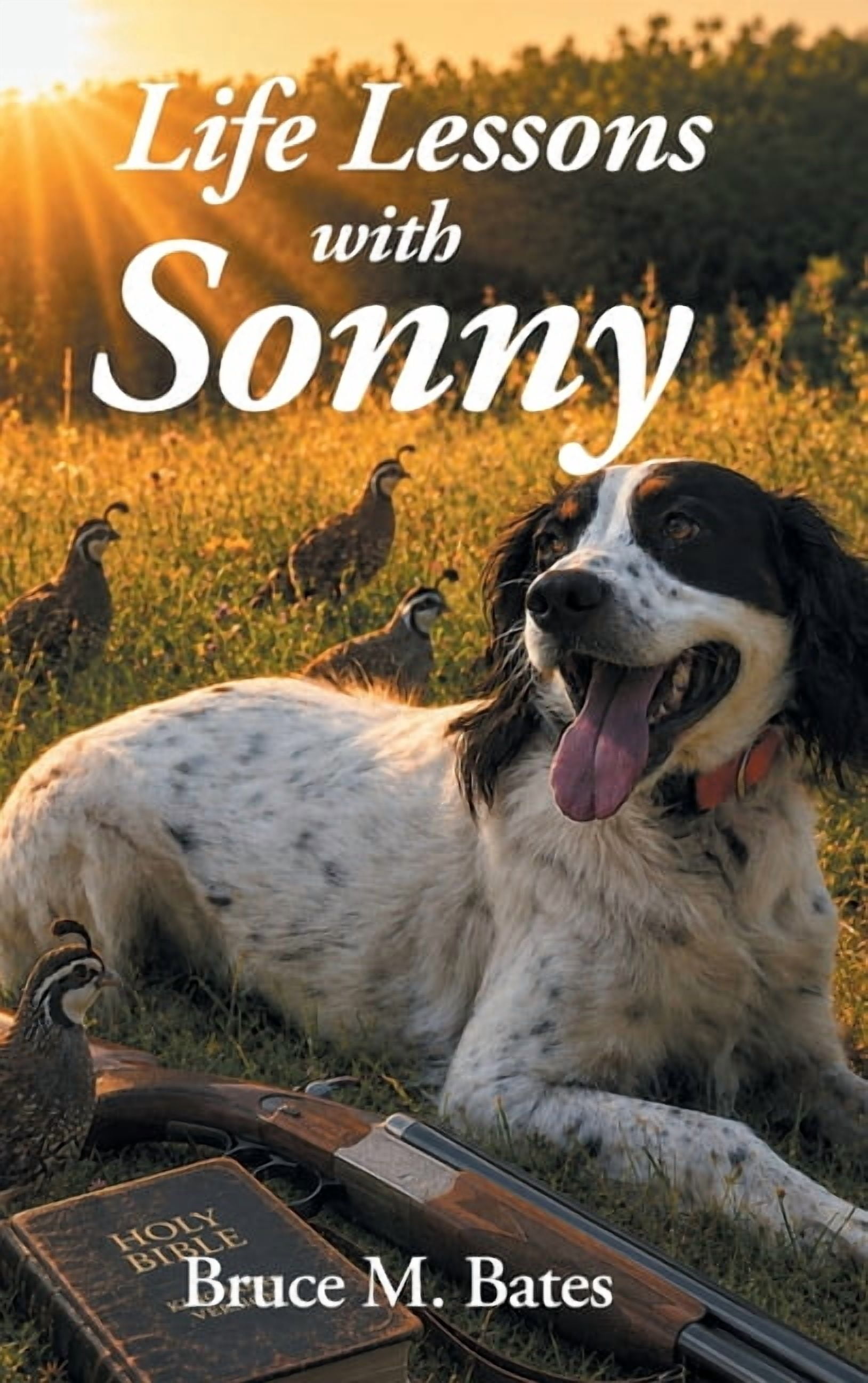 Life Lessons with Sonny, (Hardcover) - Walmart.com