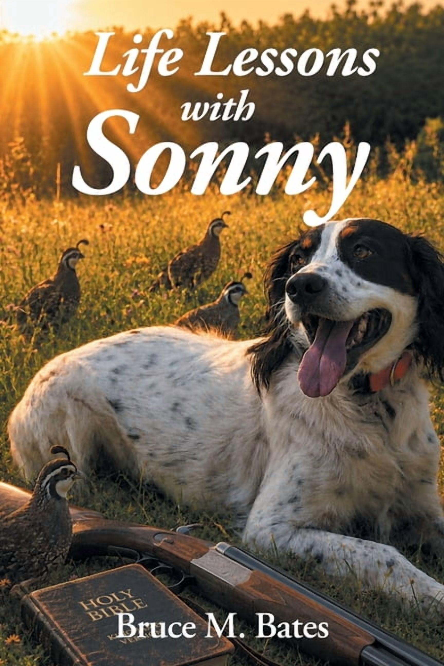 Life Lessons with Sonny, (Paperback) - Walmart.com