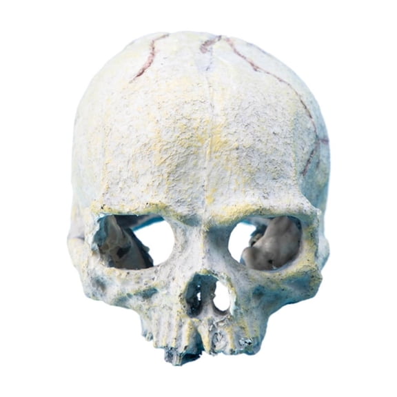 Life Like Reptiles Hideouts Cave Fishtanks Landscape Decorative Accessories for Bearded Dragon Snake Amphibians Habitats