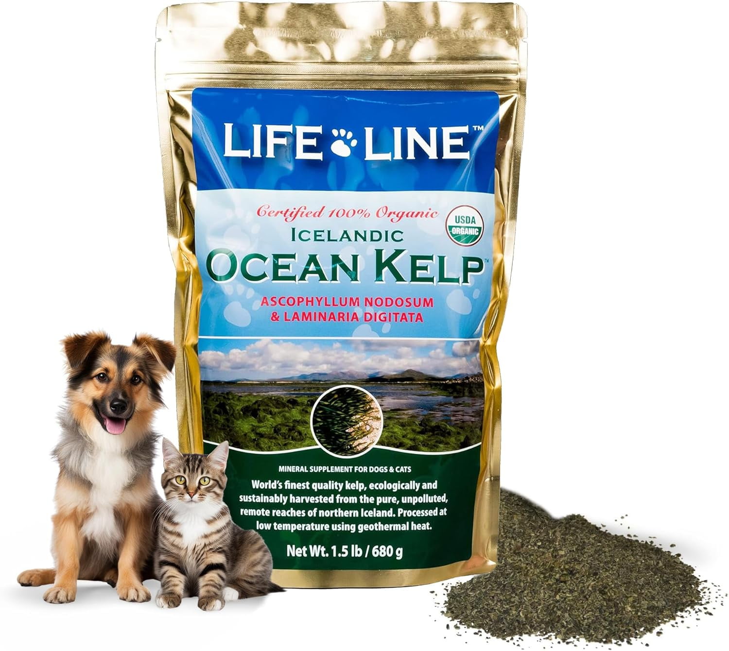 Organic Ocean Kelp Supplement for Pets – 1.5 LB – For Dogs & Cats – Promotes Healthy Skin, Coat & Immune Support – Rich in Natural Minerals & Omega-3