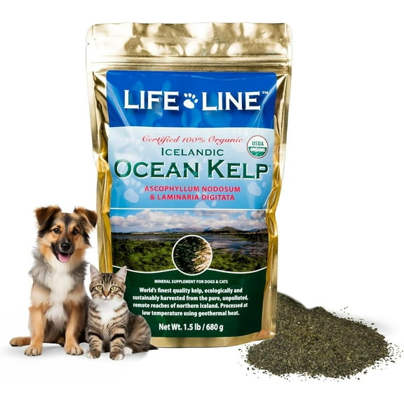 Organic Ocean Kelp Supplement for Pets – 1.5 LB – For Dogs & Cats – Promotes Healthy Skin, Coat & Immune Support – Rich in Natural Minerals & Omega-3