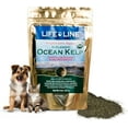 thumbnail image 1 of Organic Ocean Kelp Supplement for Pets – 8 OZ – For Dogs & Cats – Promotes Healthy Skin, Coat & Immune Support – Rich in Natural Minerals & Omega-4, 1 of 7