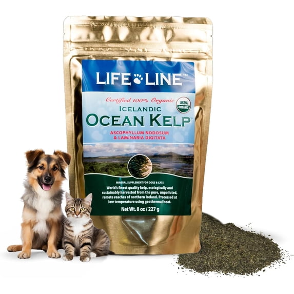 Organic Ocean Kelp Supplement for Pets – 8 OZ – For Dogs & Cats – Promotes Healthy Skin, Coat & Immune Support – Rich in Natural Minerals & Omega-4