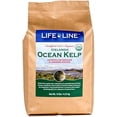 thumbnail image 1 of Life Line Pet Nutrition Organic Ocean Kelp Supplement for Skin & Coat, Digestion in Dogs & Cats,10lb, 20210, 1 of 7