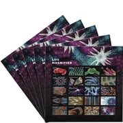 Life Magnified USPS Forever Postage Stamp 5 Sheets of 20 US First Class Birthday Announcement Life Earth Science Anniversary Wedding Celebrate 100 Stamps