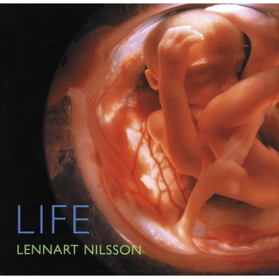 Pre-Owned Life Paperback