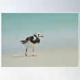 thumbnail image 1 of Life'S A Beach Poster Wall Art, Modern Wall Decor For Living Room Bedroom, 12x18 UNFRAMED, 1 of 3
