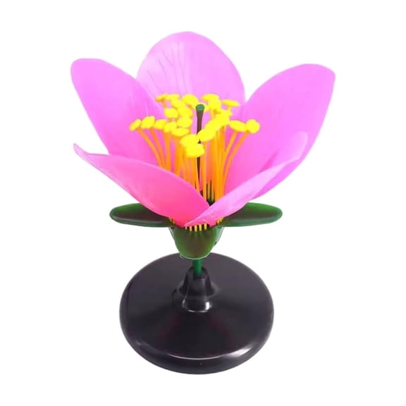 Life-Size Artificial Flower Anatomy Model, Removable Detachable Petals for Biology Classroom, Science Teaching Supply, And office Group Activities, A Peach Blossom Anatomical Model