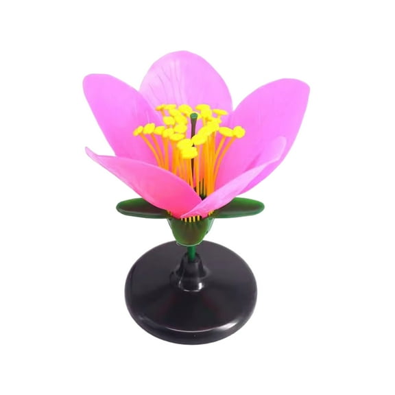 Life Size Artificial Flower Anatomy Model With Removable Parts For Botany Classroom Instruction And Group Activities