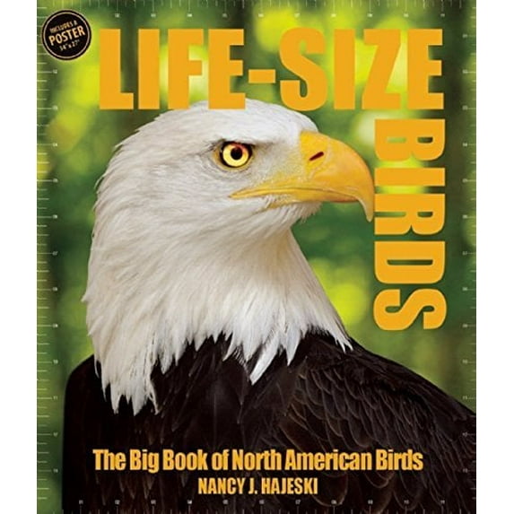Life Size Birds (Hardcover) by Nancy J Hajeski