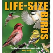 Life-Size Birds The Big Book of North American Birds, Hardcover