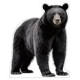 thumbnail image 1 of Life Size Cardboard Cutout Standup | Waterproof | Animals - Black Bear, 1 of 2