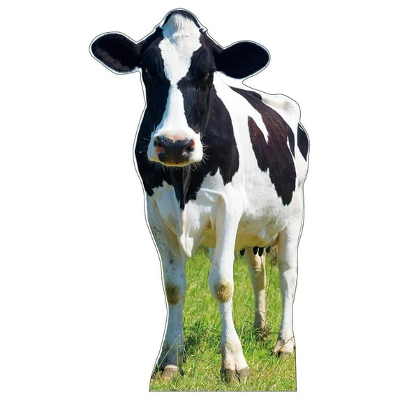 Life Size Cardboard Cutout Standup | Waterproof | Animals - Cow - lifesize
