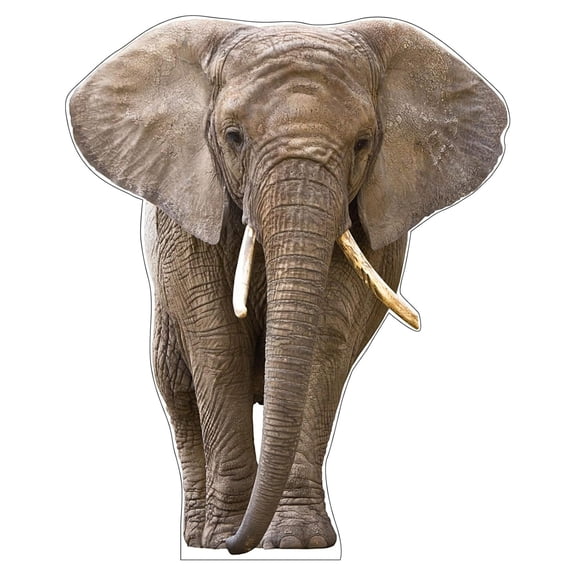 Life Size Cardboard Cutout Standup | Waterproof | Animals - Elephant