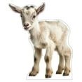 thumbnail image 1 of Life Size Cardboard Cutout Standup | Waterproof | Animals - Lamb, 1 of 2