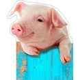Life Size Cardboard Cutout Standup | Waterproof | Animals - Piggy