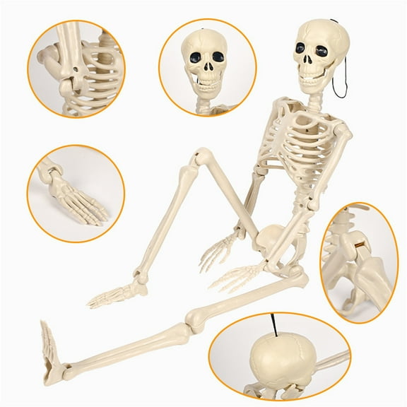 Life-Size Halloween Skeleton Decoration with Movable Joints - Realistic Hanging Skeleton Prop for Indoor Outdoor Scary Decor