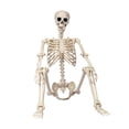 thumbnail image 1 of Life Size Human Skeleton Halloween Decor Movable Joint Hangable Plastic Prop, Realistic Easy Assembly Ornament for Home Bar Halloween Party Scene Layout, 1 of 7