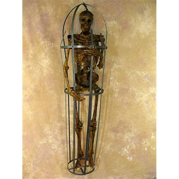Life-Size Iron Skeleton Cage with Corpsed Life-Size Skeleton, 5 ft. 9 in. Tall