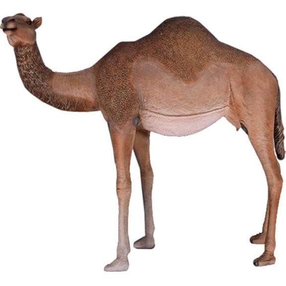 Life Size Male Camel