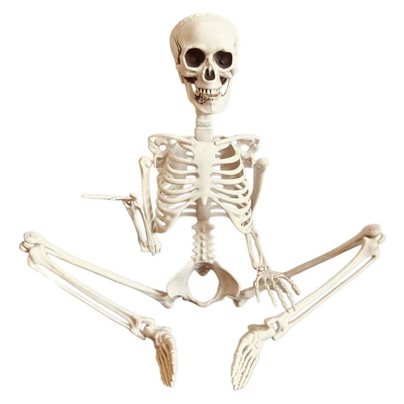 Life Size Posable Halloween Skeleton - 35" Realistic Human Skeleton with Movable Joints for Outdoor & Indoor Spooky Decor