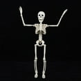 thumbnail image 1 of "Life-Size Poseable Halloween Skeleton with Movable Joints - Realistic Haunted House Graveyard Decor for Indoor Outdoor Scary Party Decoration" (148 characters), 1 of 4